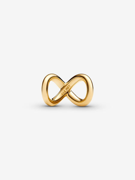 Pandora Forever & Always Infinity Charm