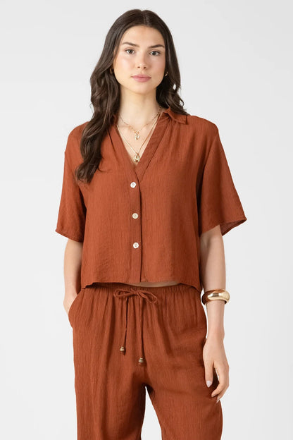 Woman wearing a brown outfit with a matching top and pants on a white background