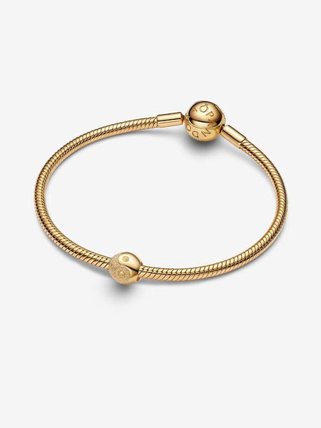 Pandora Textured Yin and Yang Mini Charm