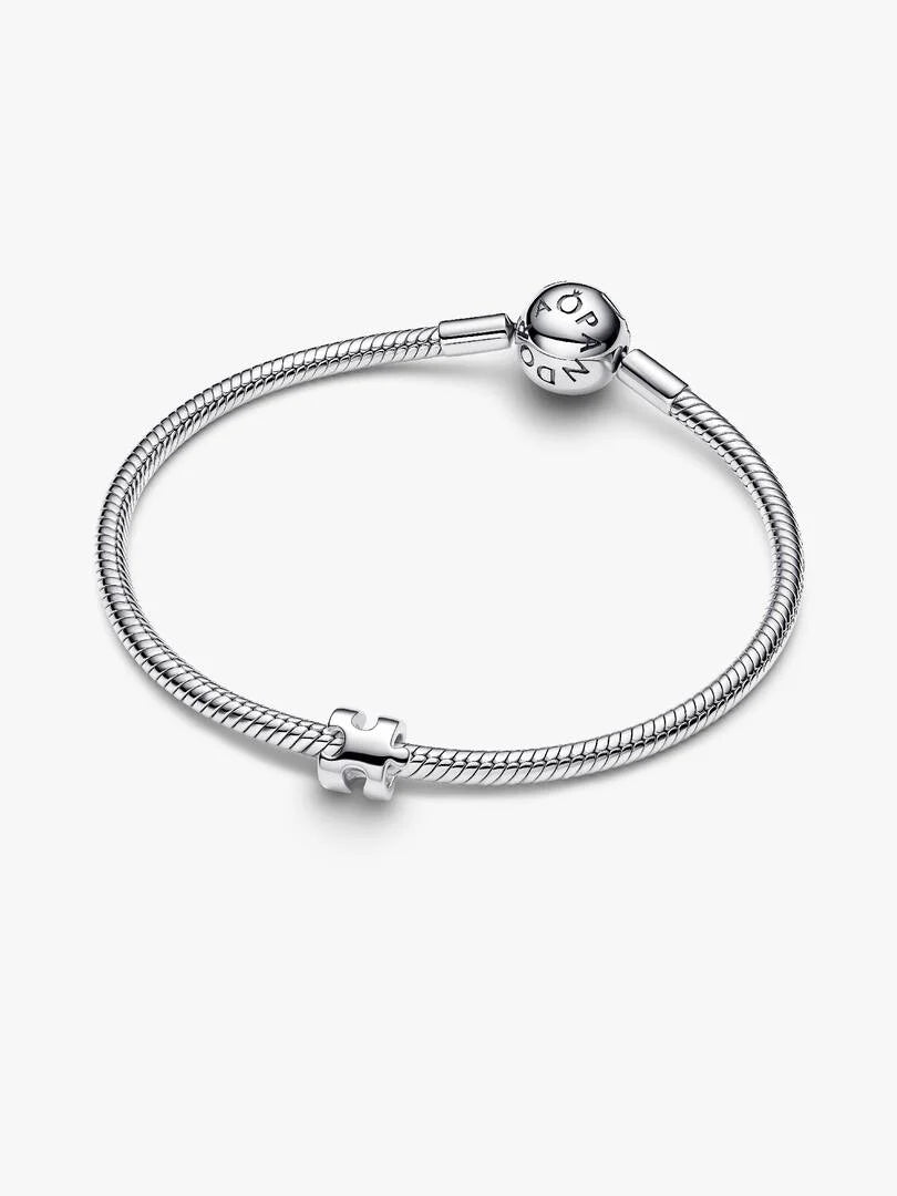 Puzzle Piece Mini Charm