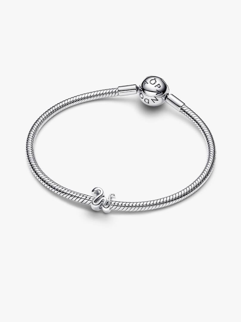 Snake Mini Charm