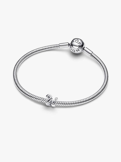 Snake Mini Charm