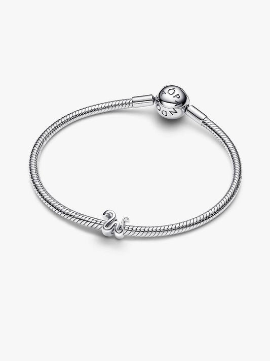 Snake Mini Charm