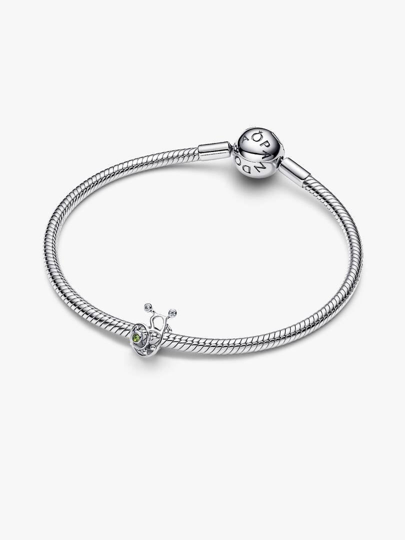 Silver bracelet with charms on a white background