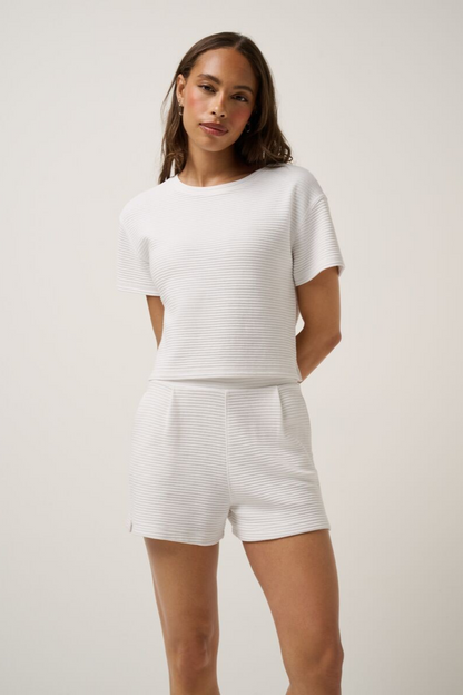 Coastal Rib Charter Cruise Top