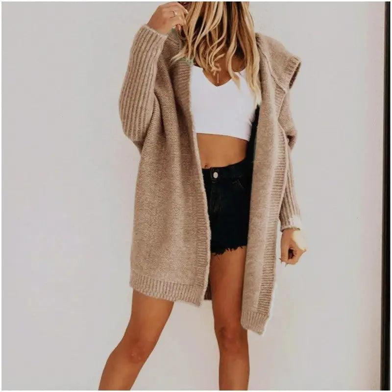 Loose Knit Hoodie Sweater