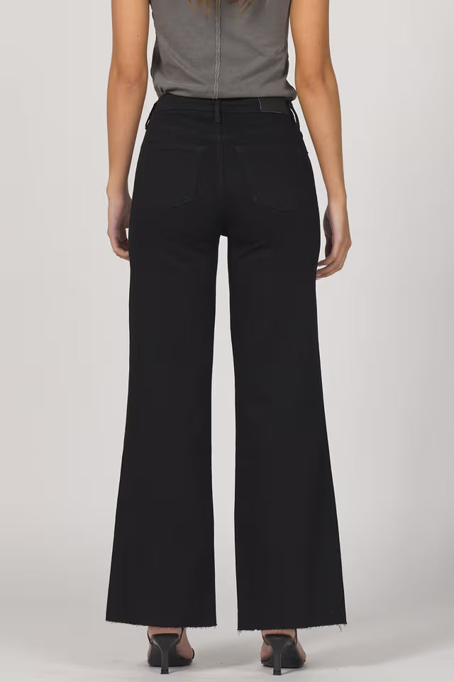 Person wearing black wide-leg pants on a plain background