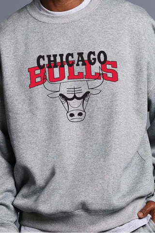 Bulls Graphic Sweatshirt