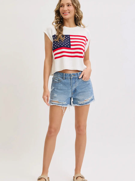 American Flag Knit Top