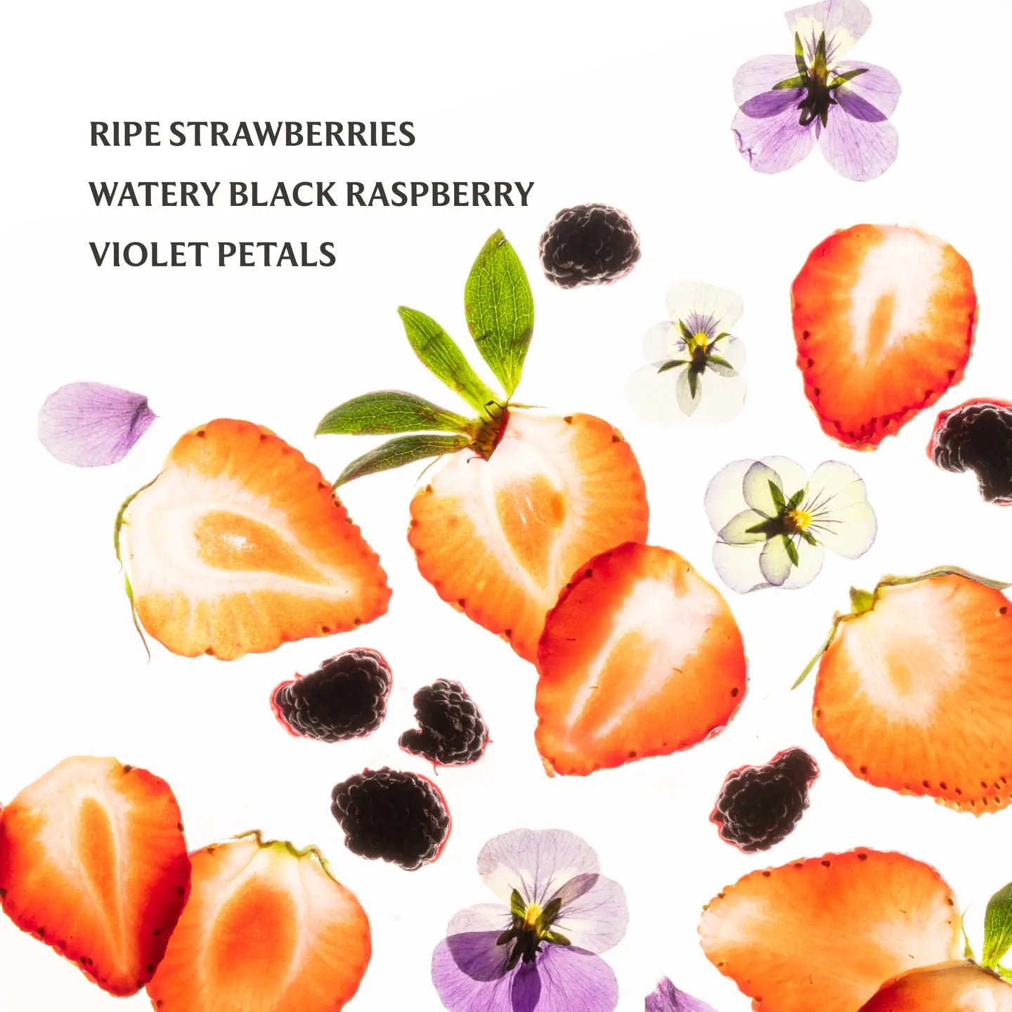 Illustration of ripe strawberries, black raspberries, and violet petals on a white background.
