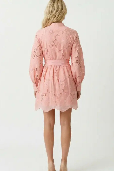 Person wearing a pink lace dress on a white background