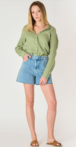 Dex Frayed Hem Embroidered Denim Shorts