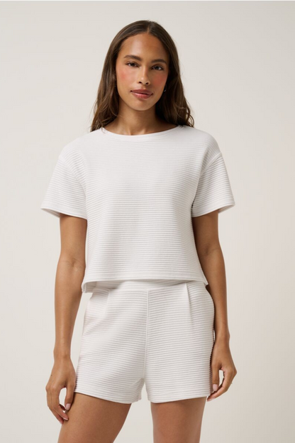 Coastal Rib Charter Cruise Top