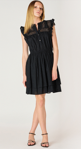 Dex Swiss Dot Mini Dress