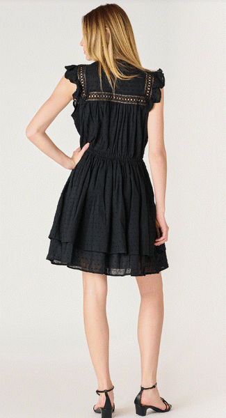 Dex Swiss Dot Mini Dress